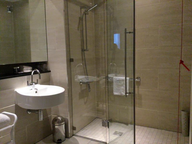 Drempelloze douche met glazen wand en deur.