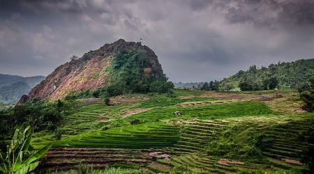 Heuvels met felgroene rijstvelden steken scherp af tegen de bewolkte hemel.