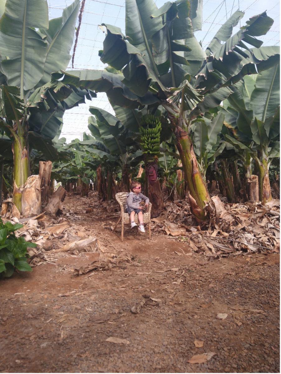 Het jongste kind zit tussen, in verhouding, reusachtige bananenplanten.