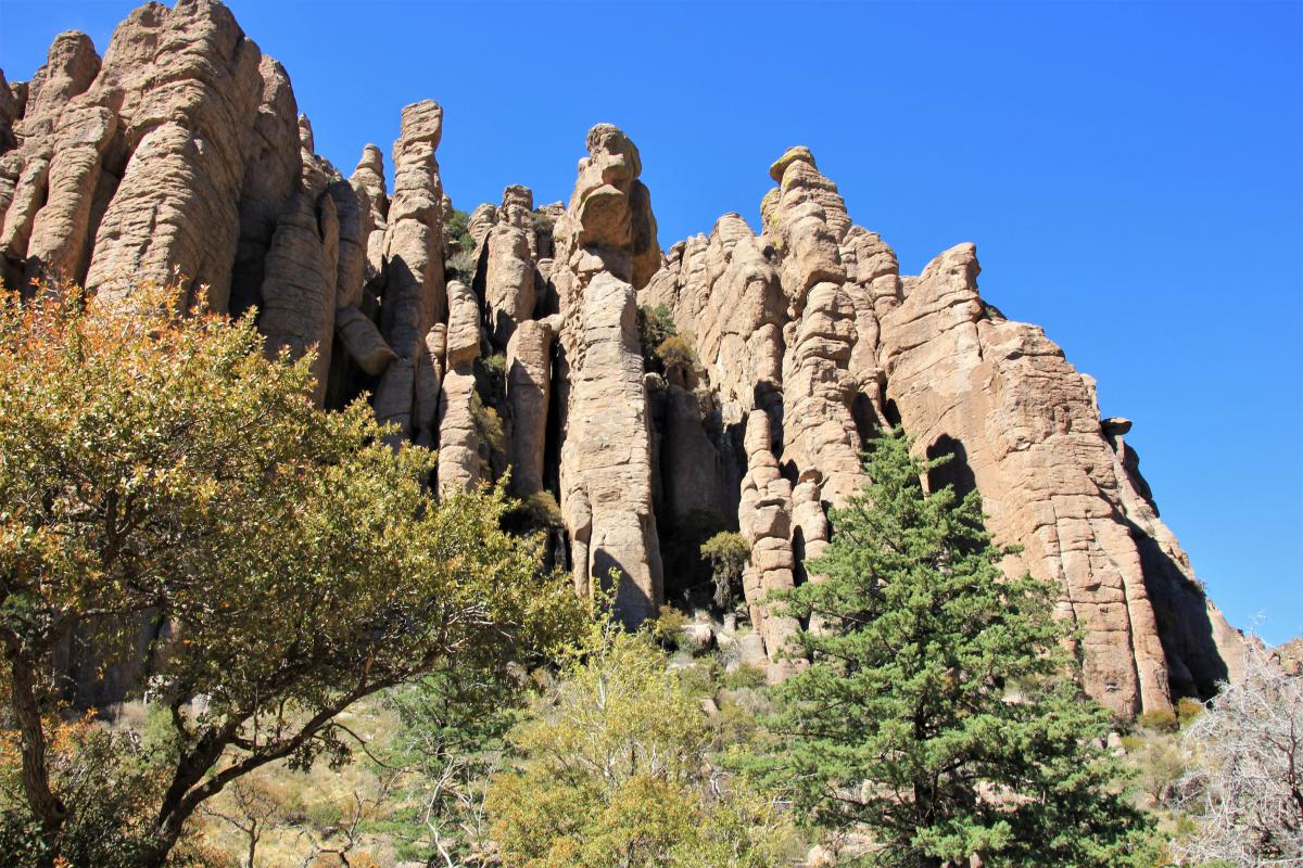 Bonita Canyon is gevormd door pilaarvormige rotsen.