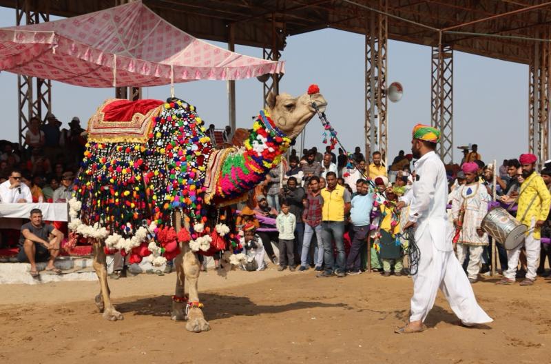 Kamelenfestival in Pushkar. Mensen bewonderen een kleurig versierde kameel.